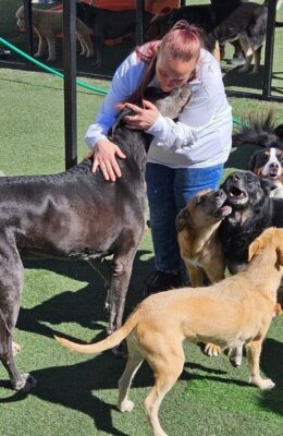 Heather 2026 Heather 2026