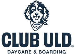 Club ULD Denver